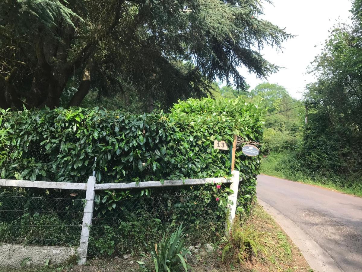 Les Chaumieres Du Pays D'Auge Bed & Breakfast Le Breuil-en-Auge Dış mekan fotoğraf